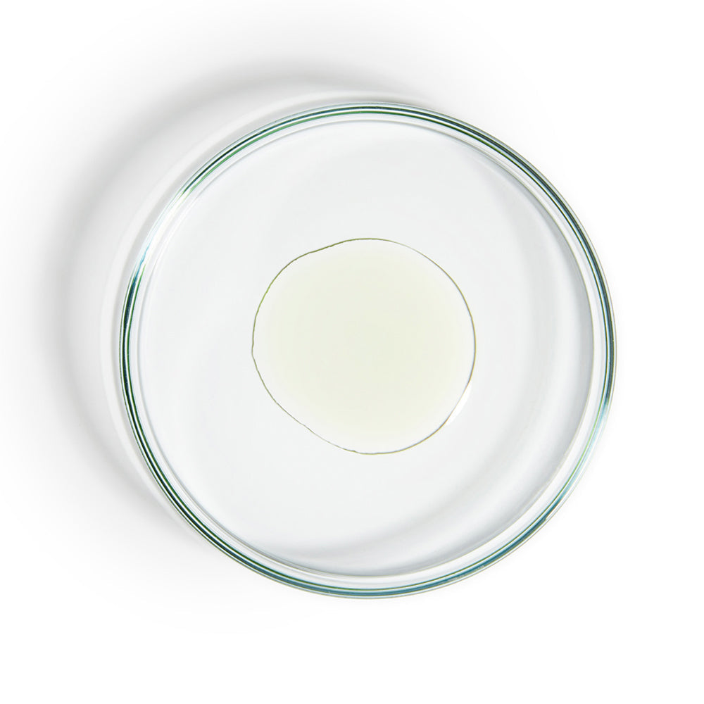 COSMECEUTICAL FACIAL OIL +